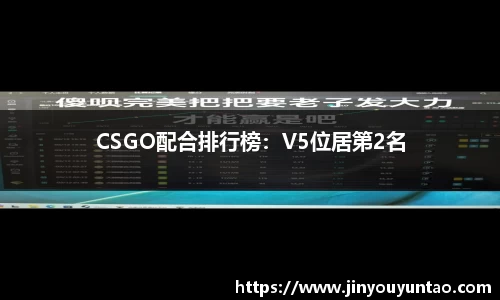 CSGO配合排行榜：V5位居第2名